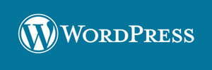 Wordpress web design Belfast
